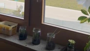 Whatsapp image 2026-03-22 at 09.51.21